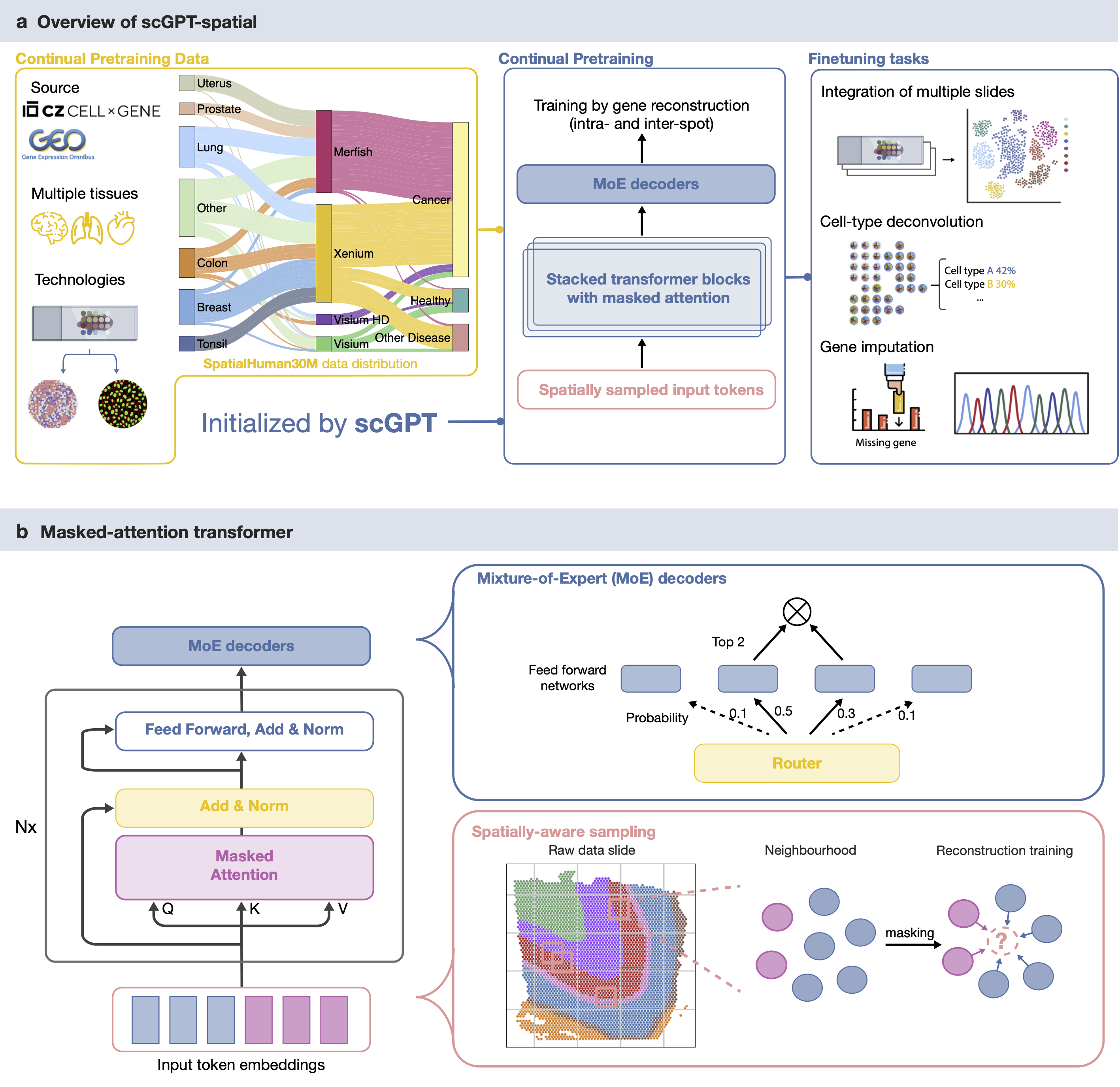 scGPT-spatial workflow