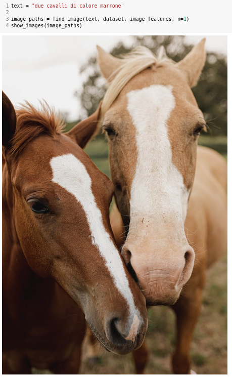 two brown horses