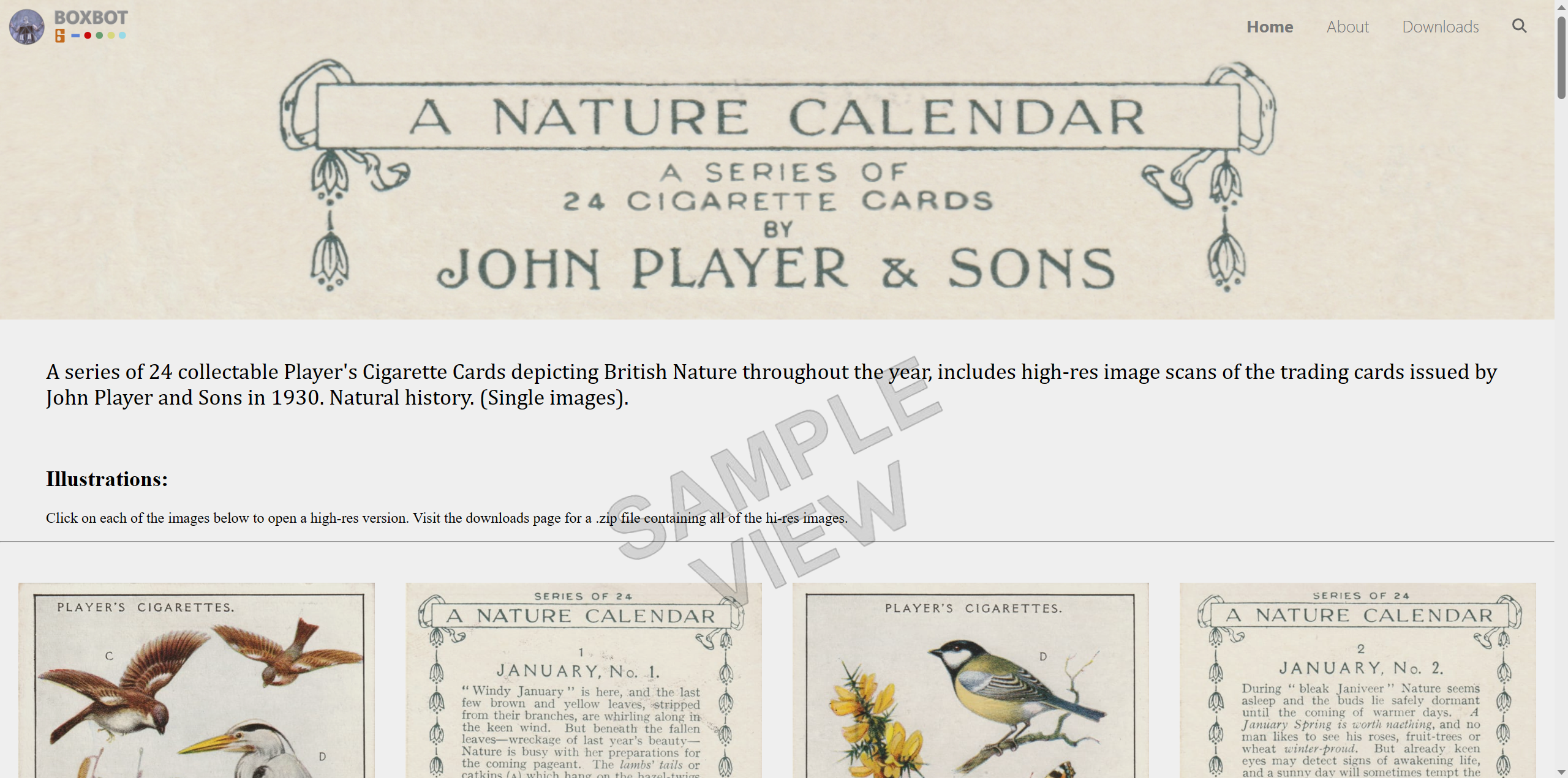 cigarette-cards-john-player-and-sons-a-nature-calendar-sample.png