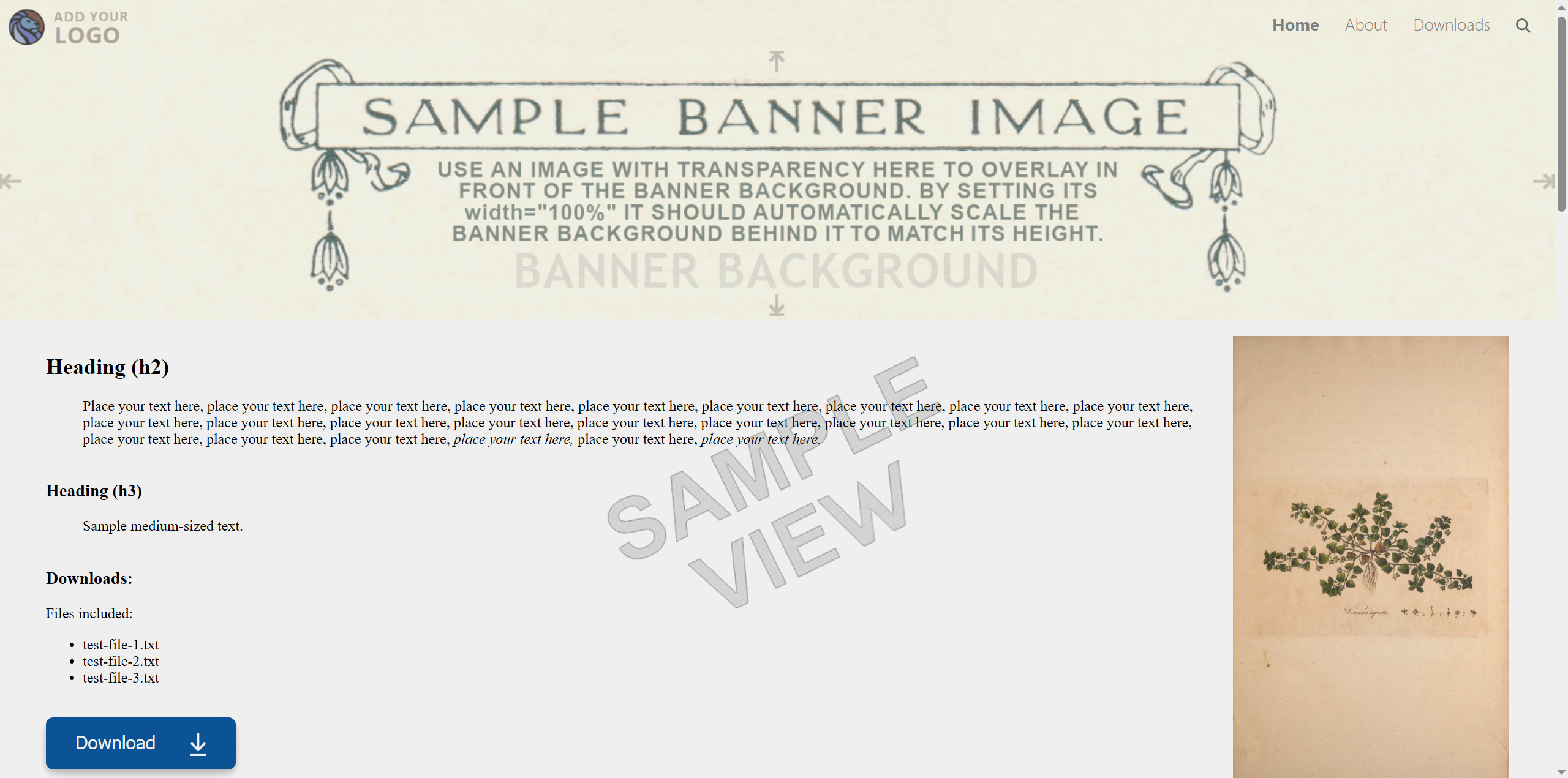 simple-website-template-with-banner-v2-sample.png