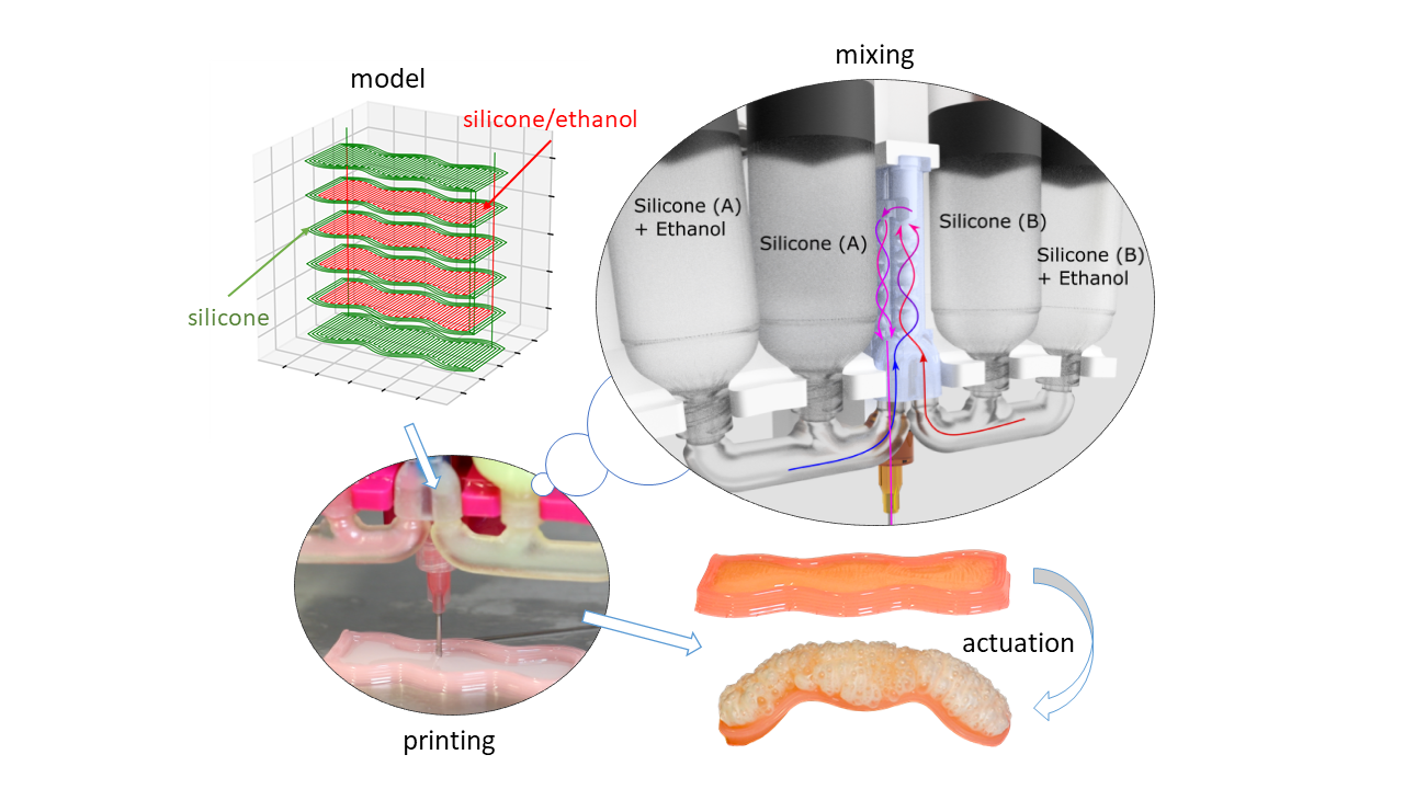 graphical abstract