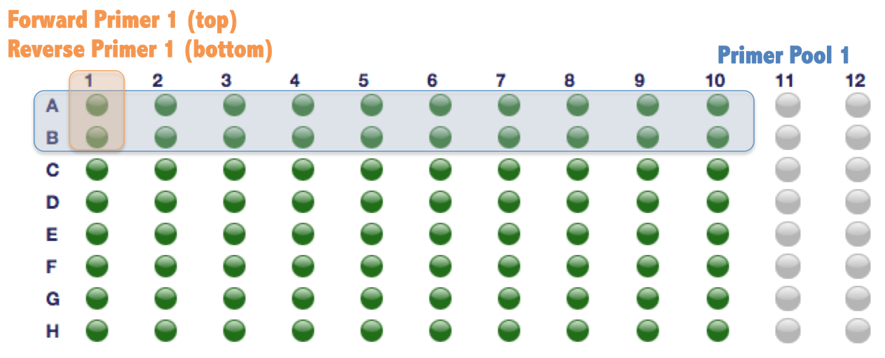 example_primer_plate_annotated