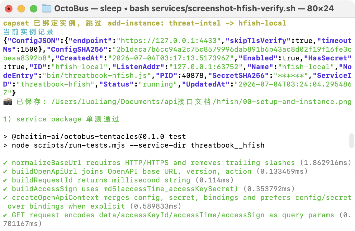 Reflection capset instance verification