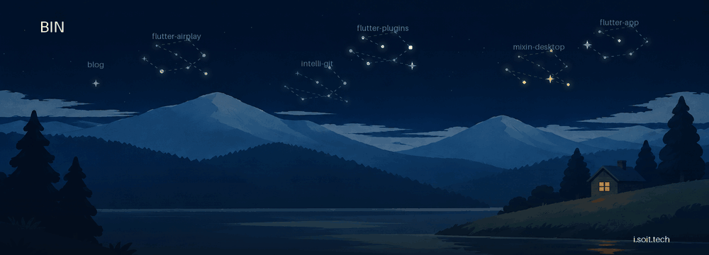 BIN — 夜景与动态星图。点击进入 i.soit.tech。