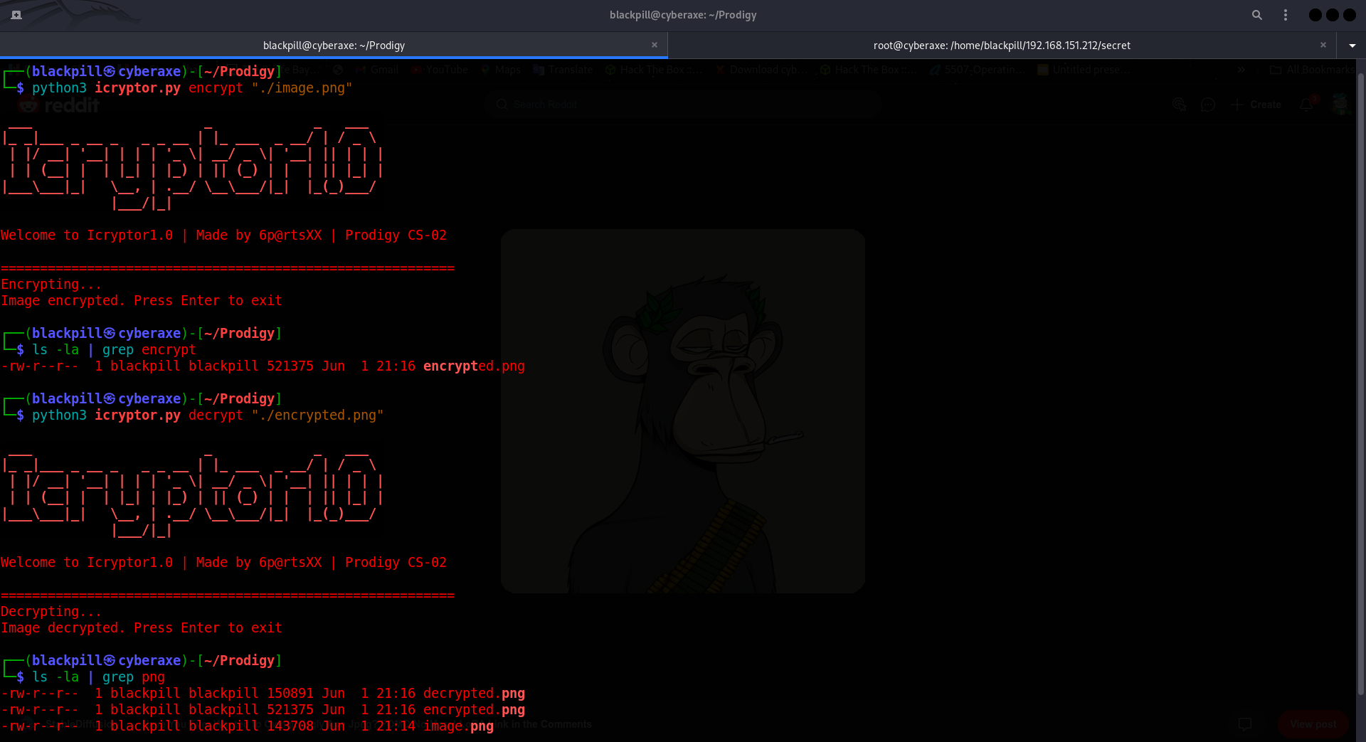 GitHub - bpartsxx/Prodigy_CS_02: ICryptor 1.0 - a simple tool used for ...