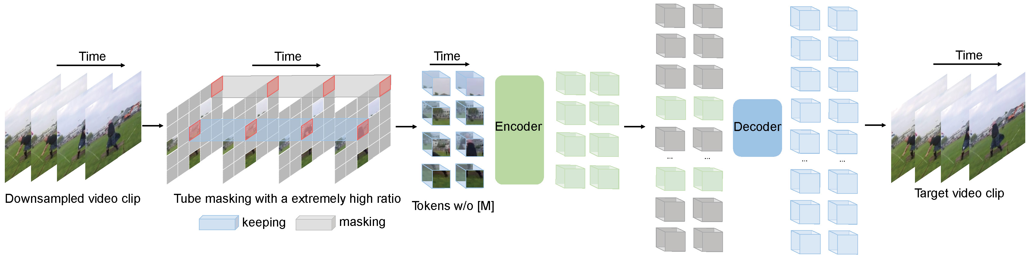 VideoMAE Framework