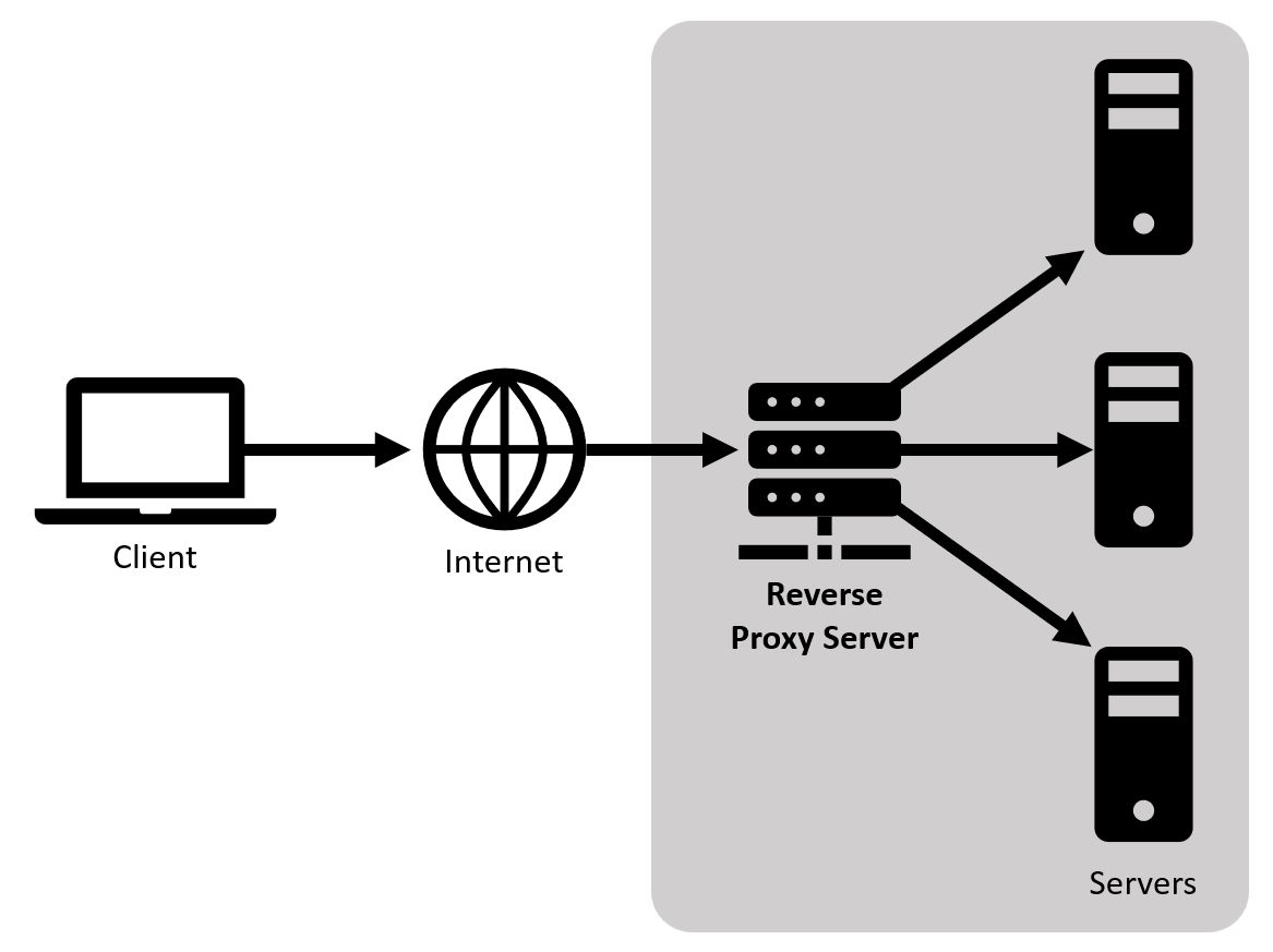 reverse proxy