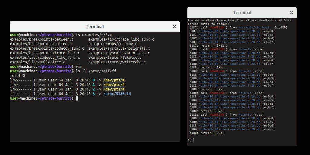 screenshot of examples/libc/trace_libc_func
