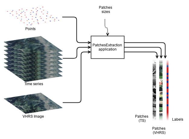 Schema