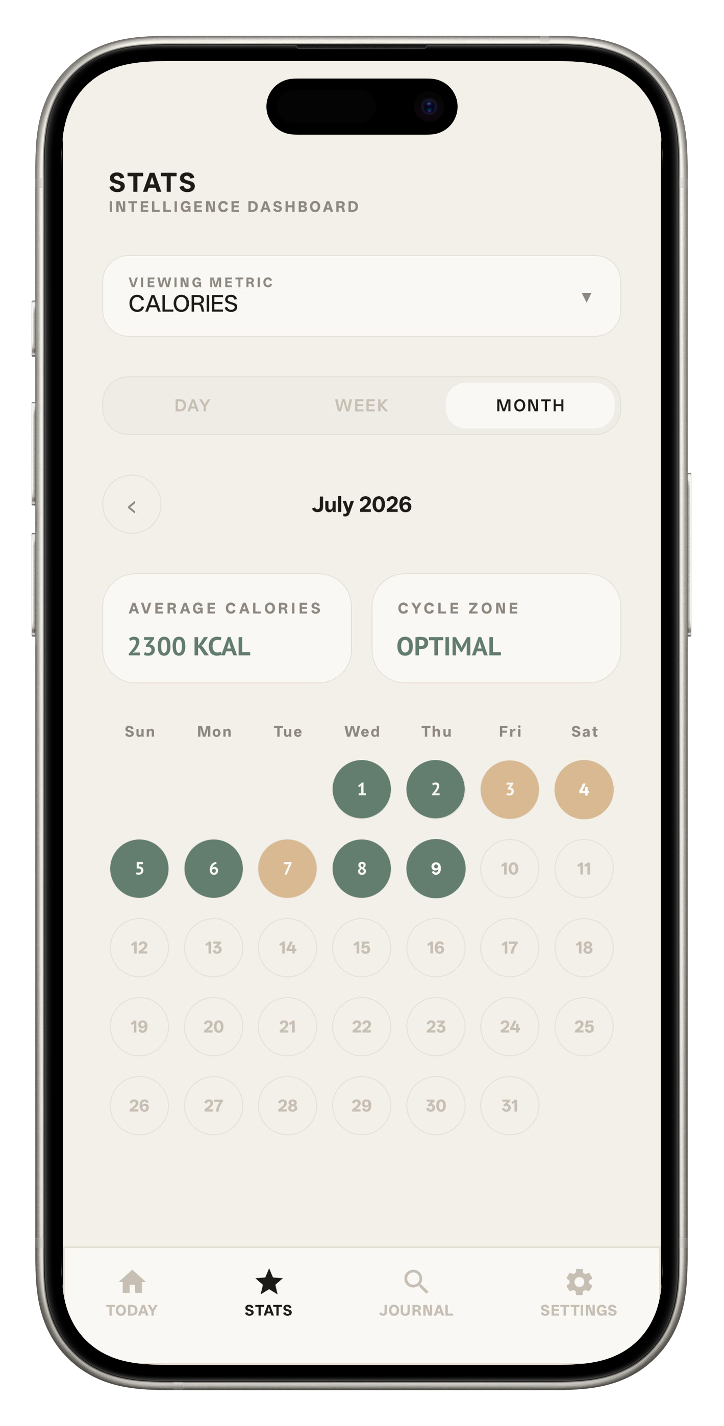Dashboard Analytics
