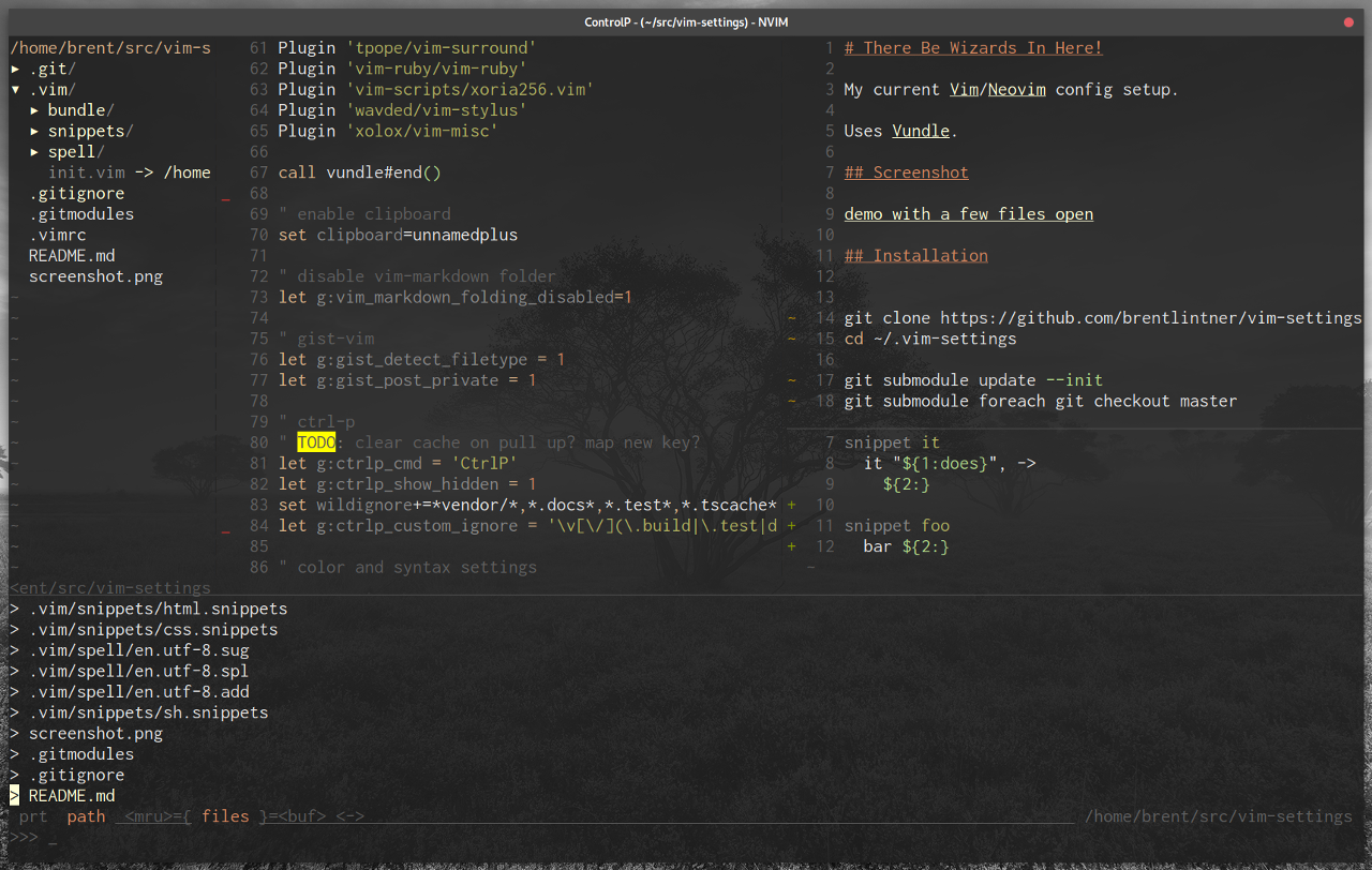 demo with a few files open
