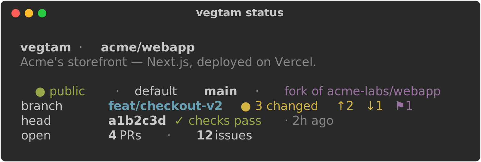 vegtam status — a one-screen briefing on the current repo: visibility, default branch, fork relationship, current branch with dirty state and stashes, the latest commit and its CI, and open PR/issue counts