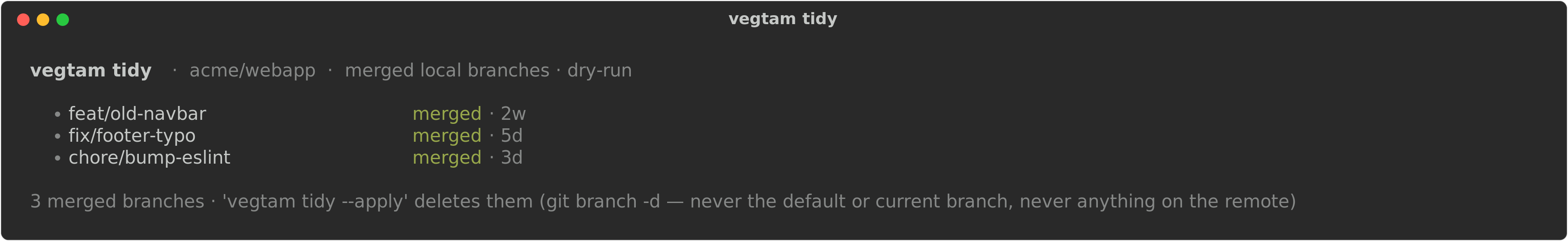 vegtam tidy — a dry-run list of merged local branches it would delete, changing nothing until you add --apply
