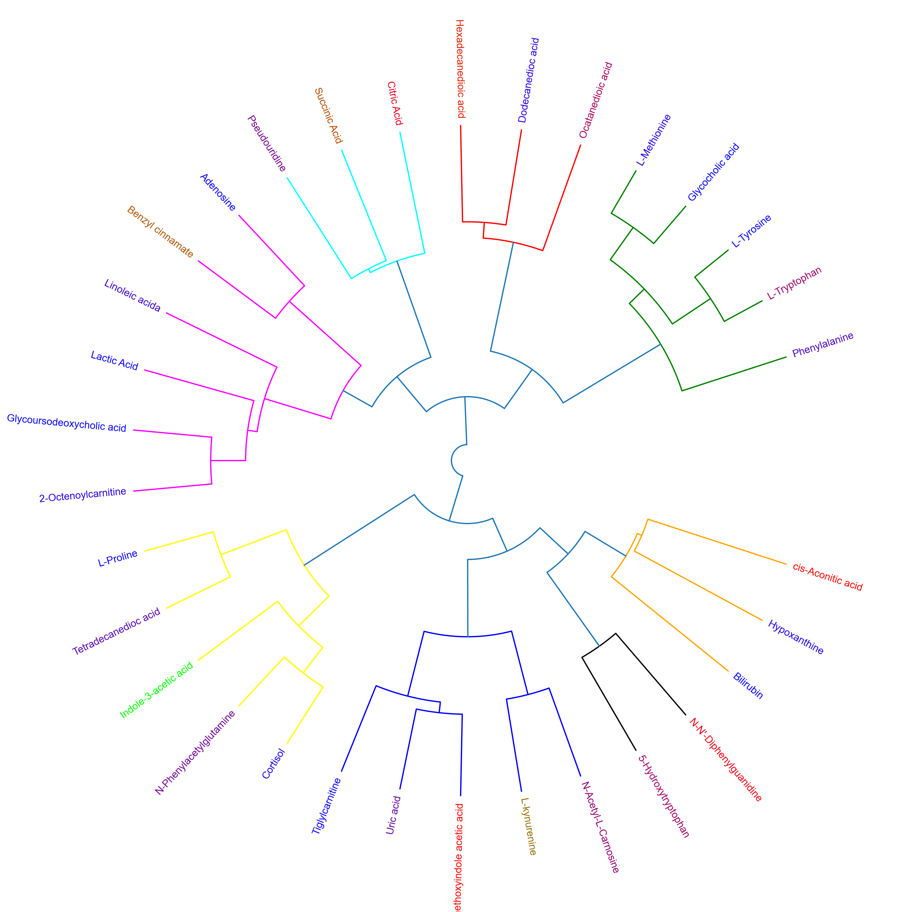 Polar Dendrogram - altitude study