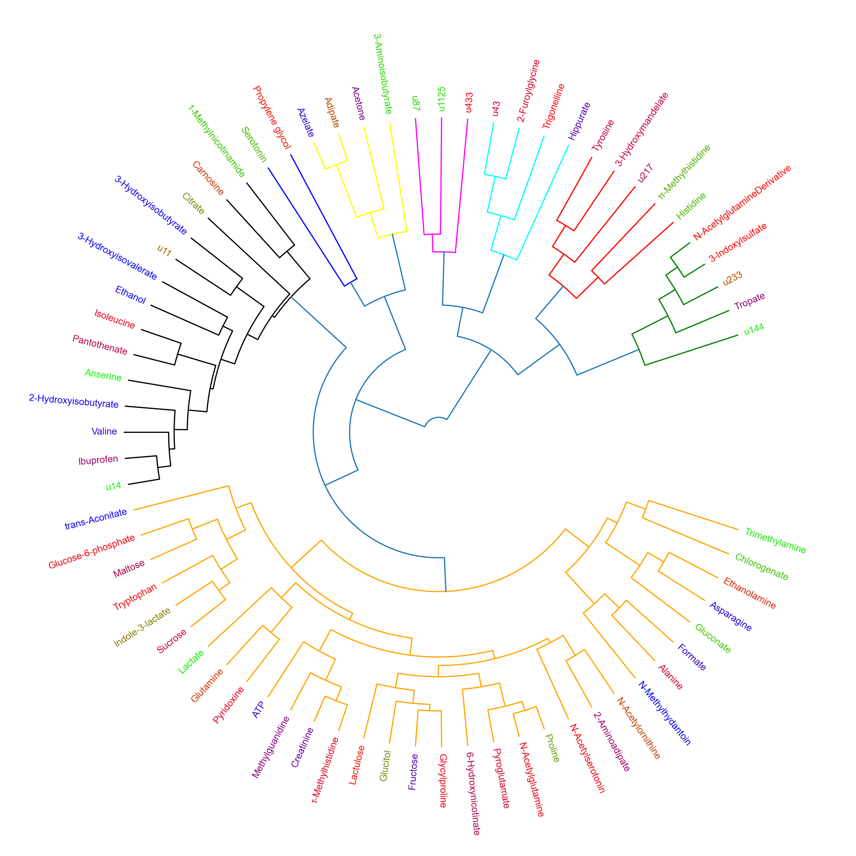 Polar Dendrogram - gastric cancer