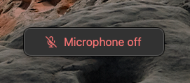 popup window screenshot indicating the microphone is off