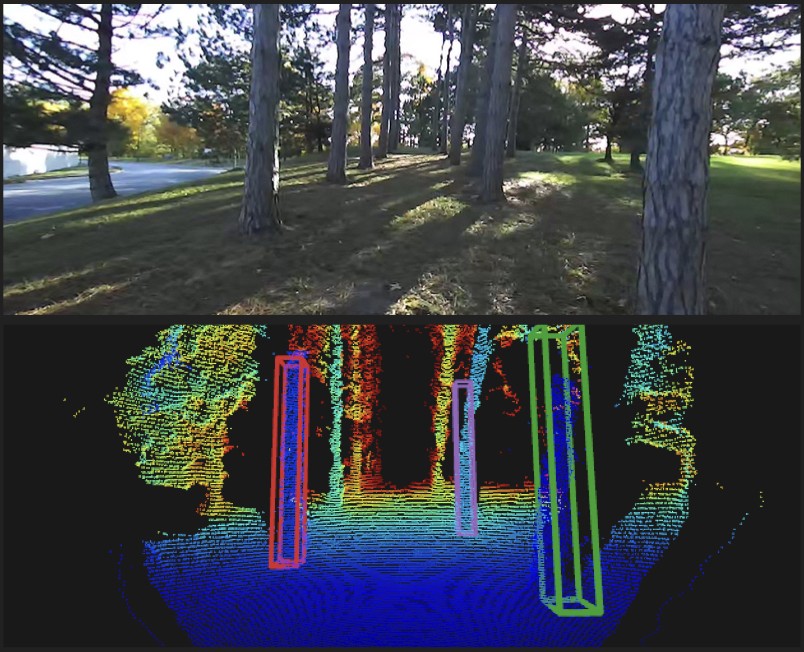 Pseudolidar tree detections