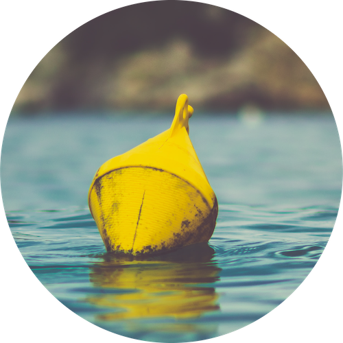 Image of token which is a Buoy
