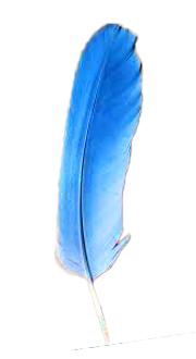 feather