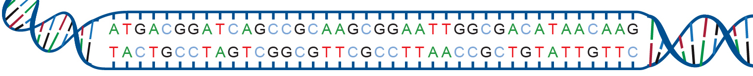 long genome