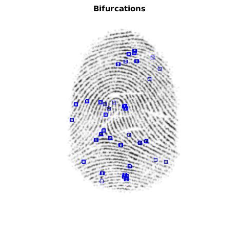 Bifurcations