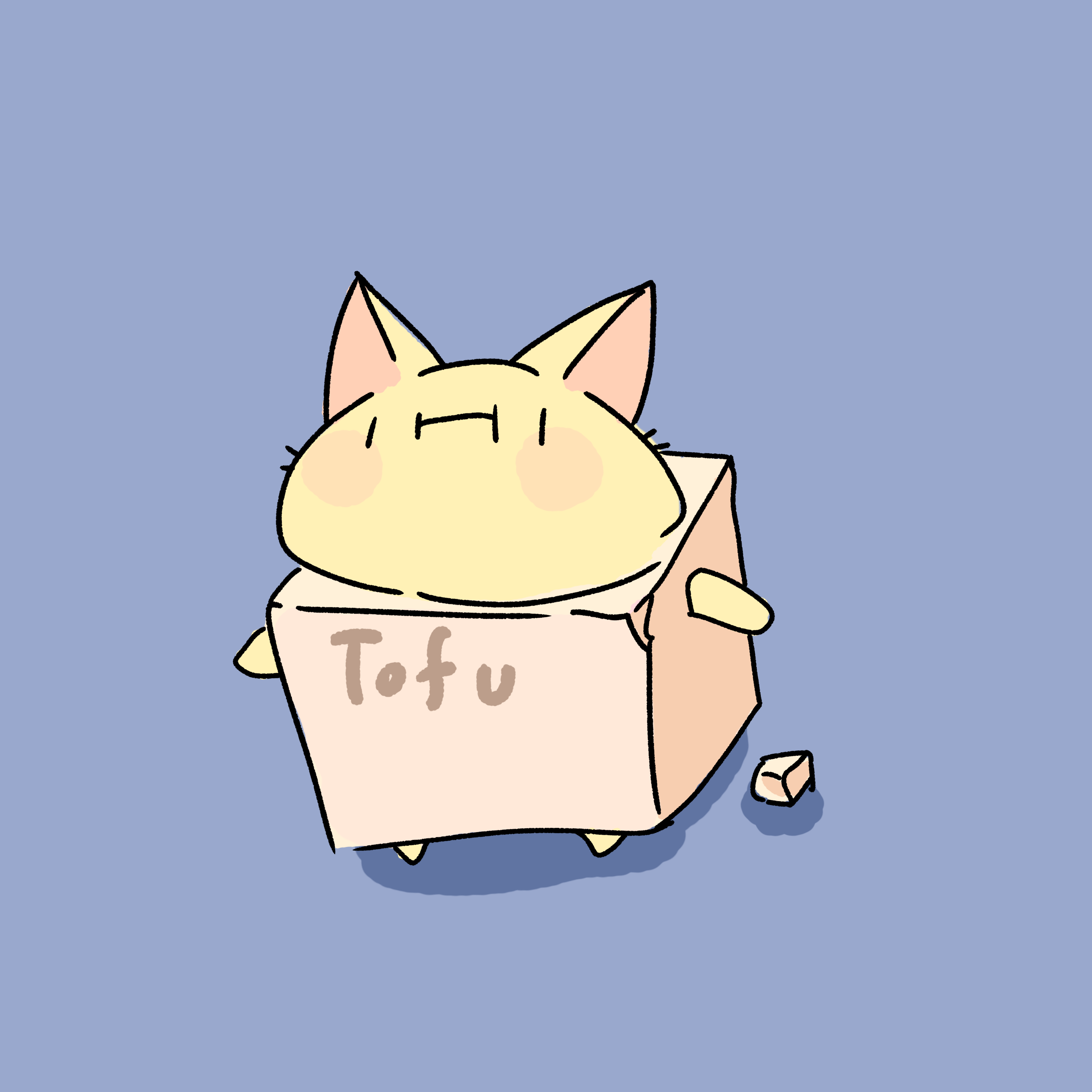 豆腐貓咪