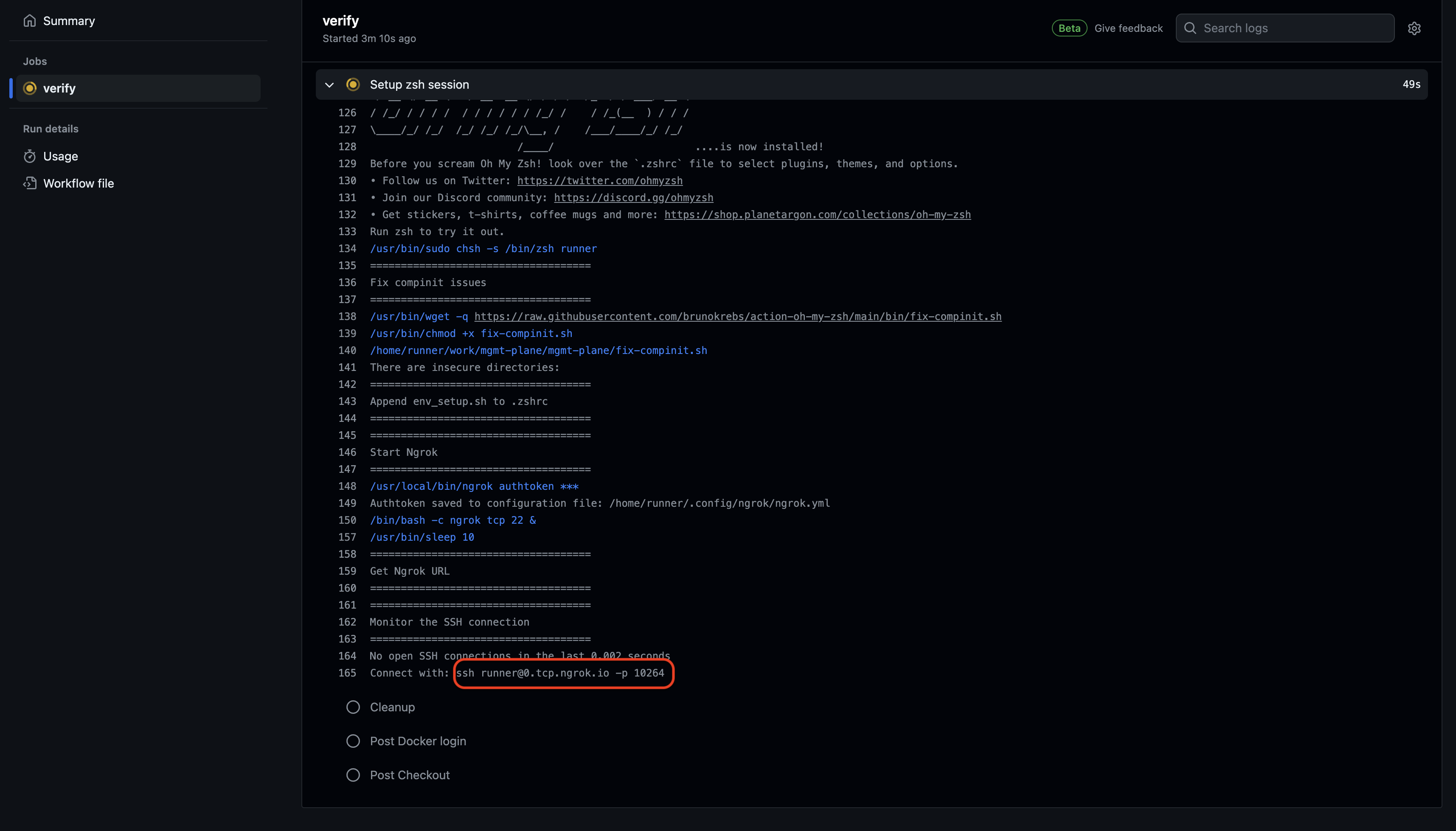 Output produced by the action showing the command you will need to run to access your own GitHub Action.