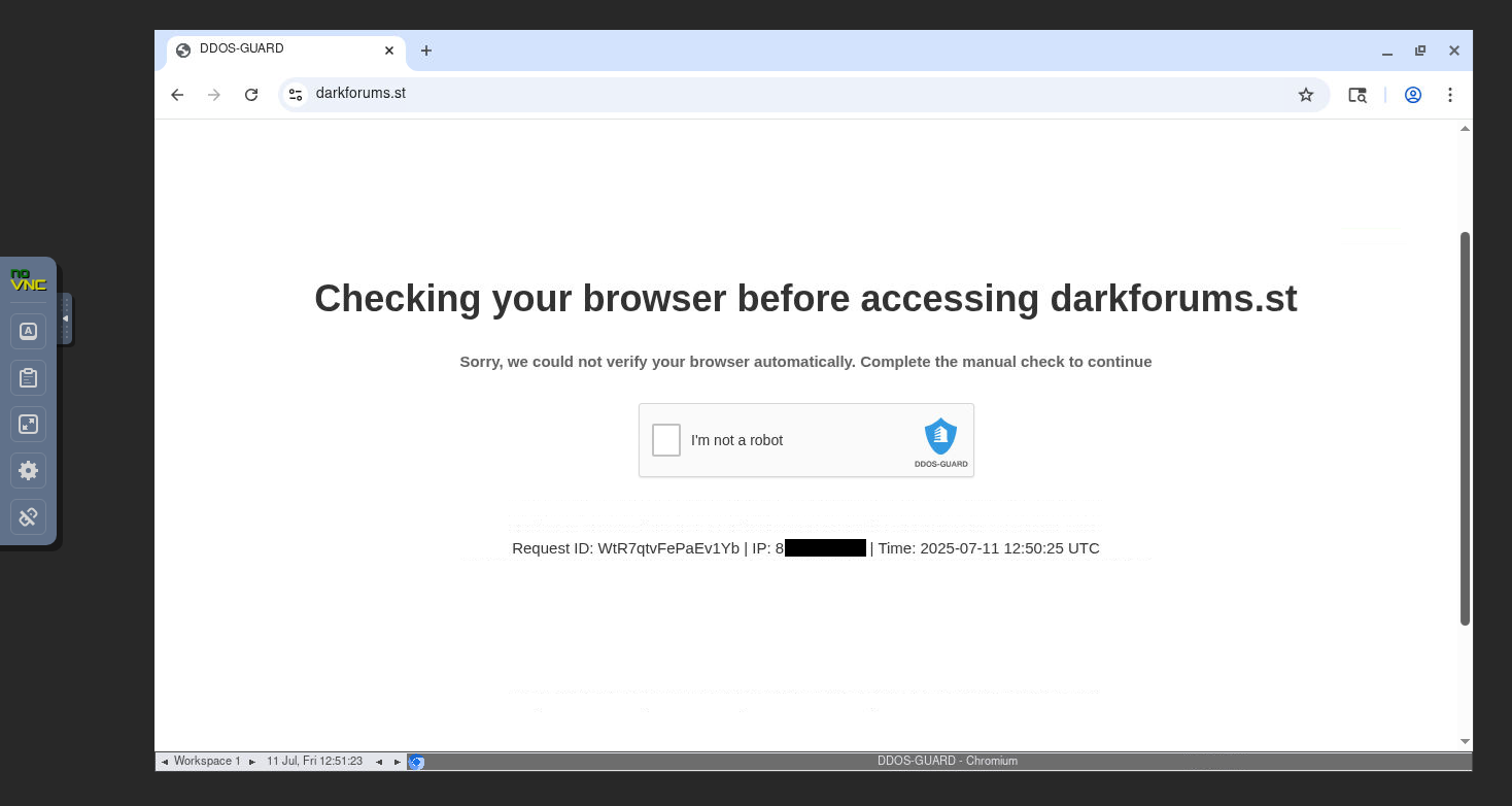 VNC Manual Captcha Solving