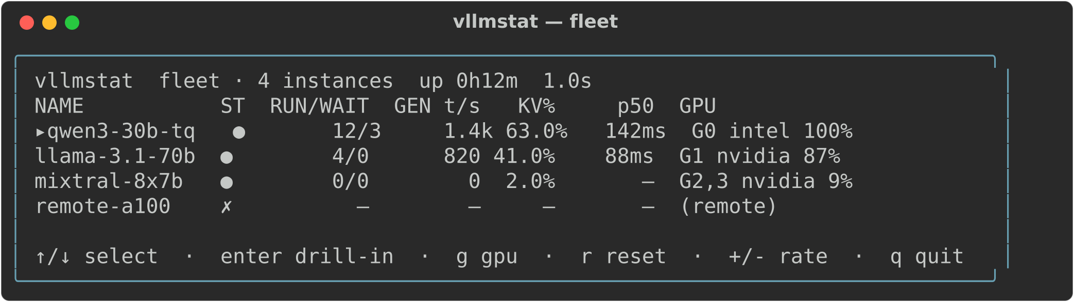 vllmstat fleet overview