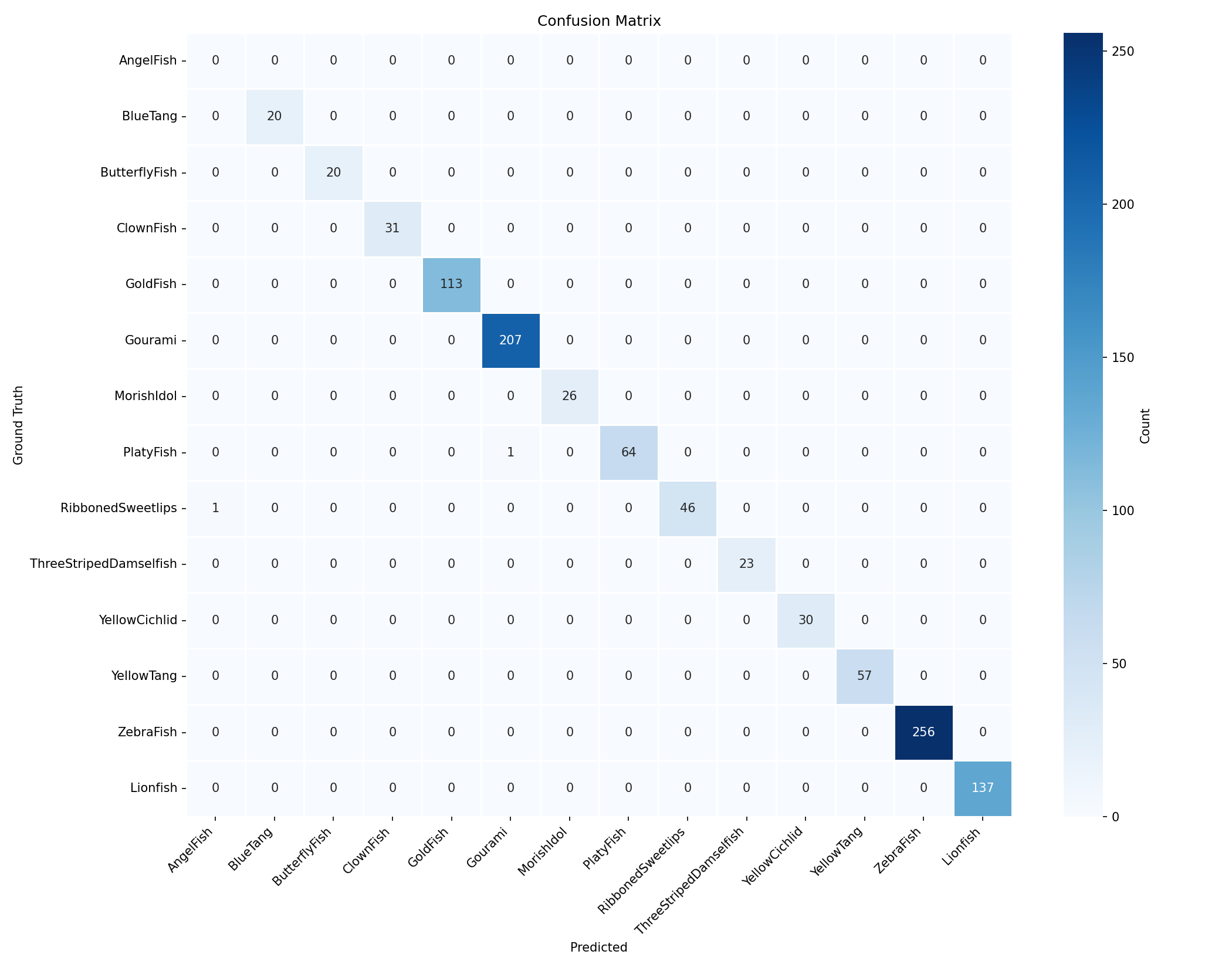 Confusion Matrix