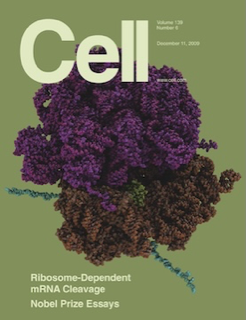 Cell