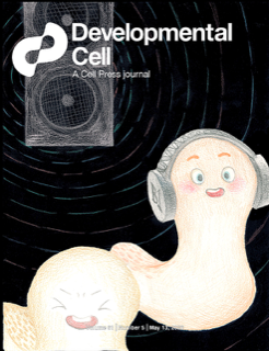 Developmental Cell