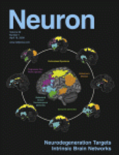 Neuron