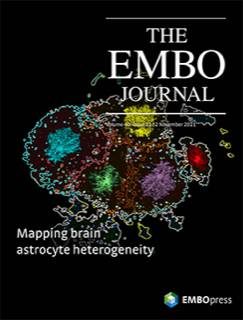 The EMBO Journal