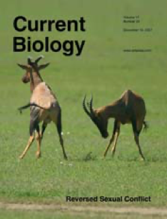 《Current Biology》