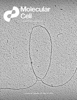《Molecular Cell》