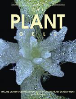 《The Plant Cell》