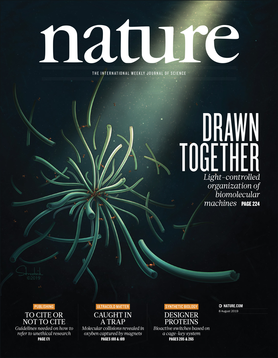 Nature 期刊封面(插画 © Inna-Marie Strazhnik, 2019)