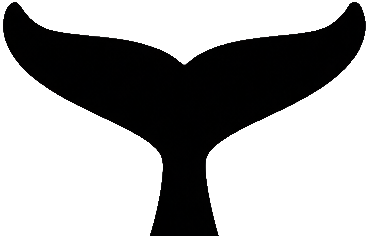 whale tail