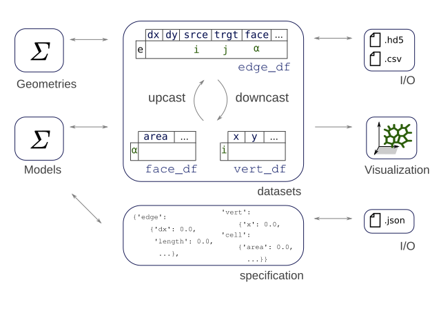 Tyssue data structure