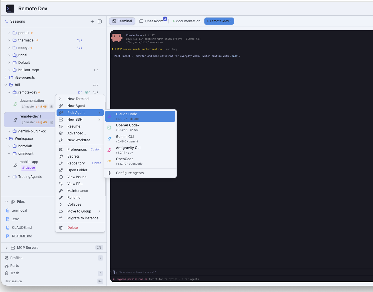 Remote Dev Terminal Interface
