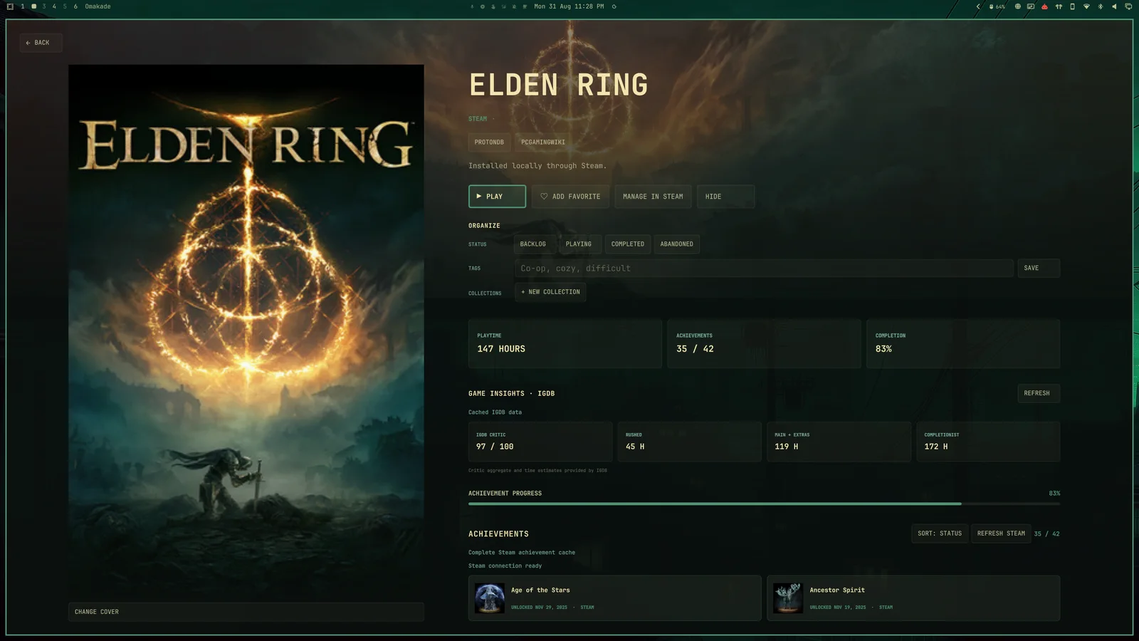 Game details, playtime, and achievements