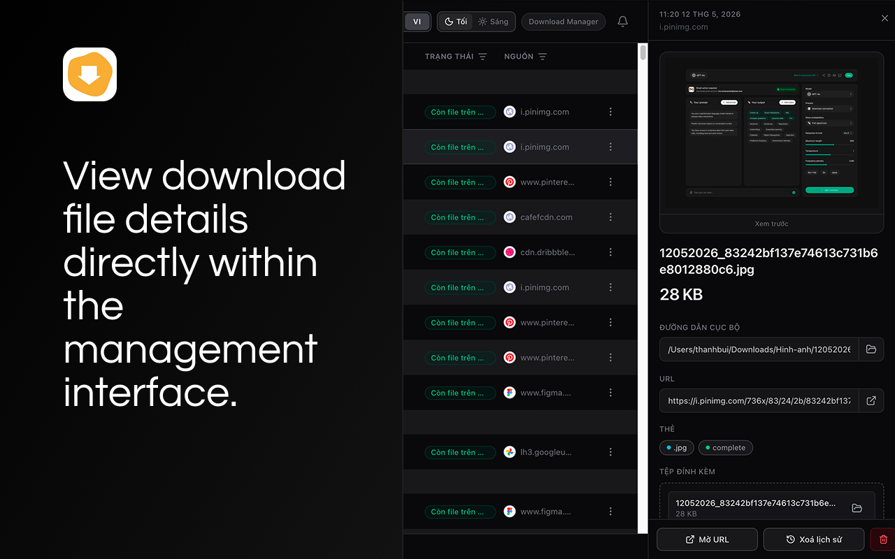 Download Manager — detail panel beside the list