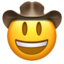 face_with_cowboy_hat