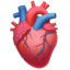 anatomical_heart