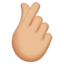 hand_with_index_finger_and_thumb_crossed