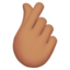 hand_with_index_finger_and_thumb_crossed
