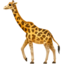 giraffe_face