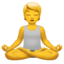 person_in_lotus_position