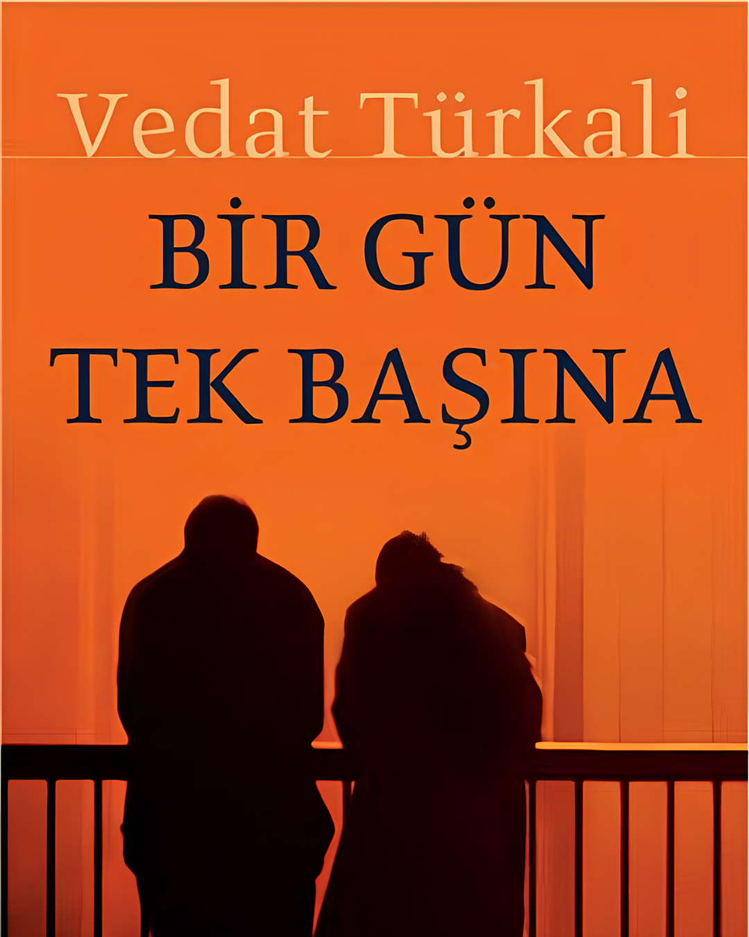 Bir Gün Tek Başına — Vedat Türkali